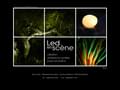 Led en Sc�ne - �clairage paysager a LED