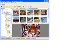 XnView