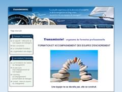 Transmissiel