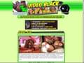 Aper�u de : Vid�o Black