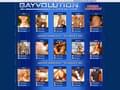 Aper�u de : Gayvolution